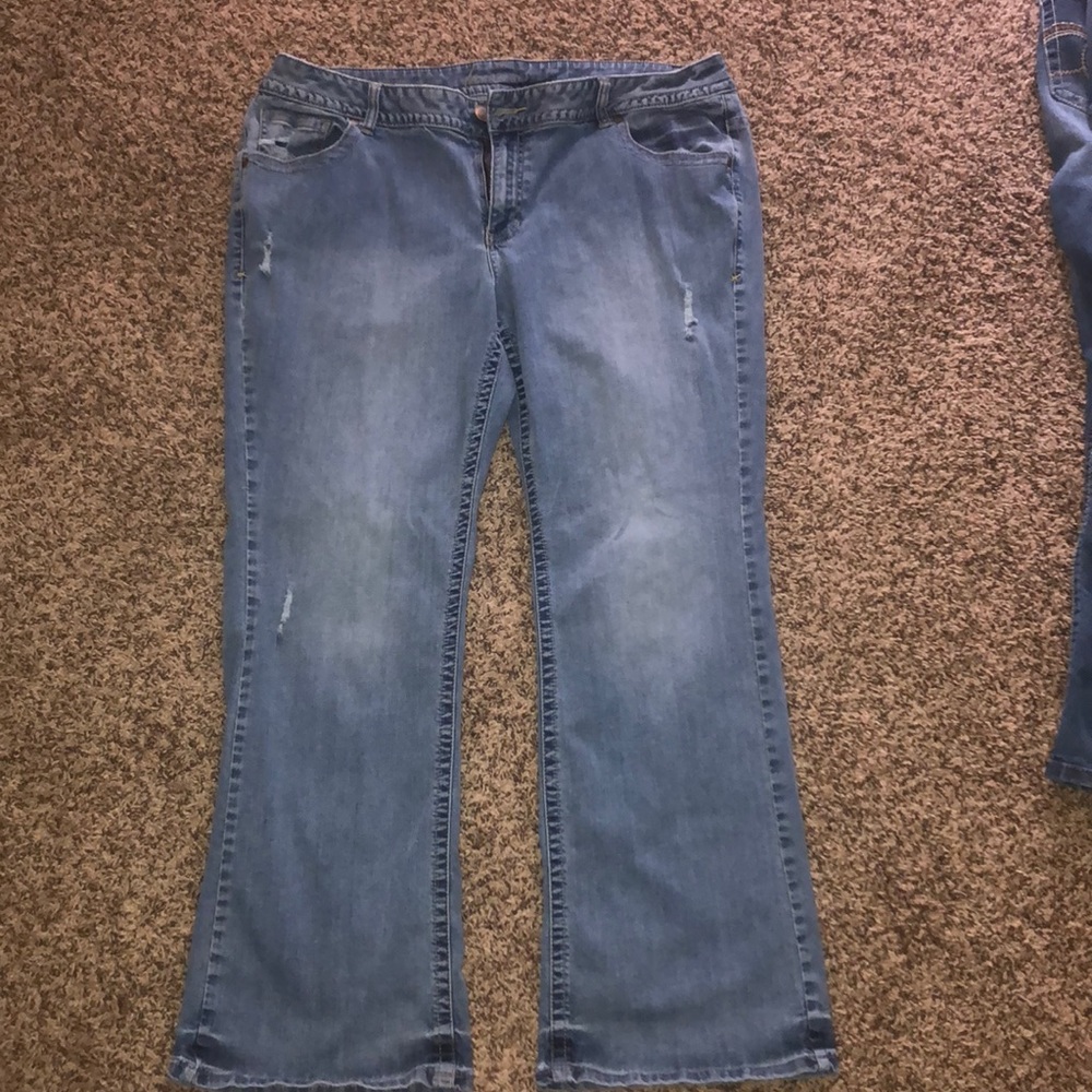 Lane Bryant lightly distressed jeans